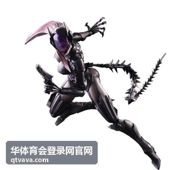 华体育会登录网官网登录前的账号信息核对示意