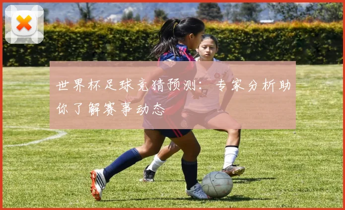 世界杯足球竞猜预测：专家分析助你了解赛事动态