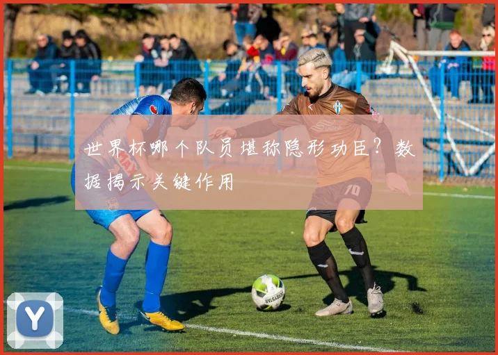 世界杯哪个队员堪称隐形功臣？数据揭示关键作用