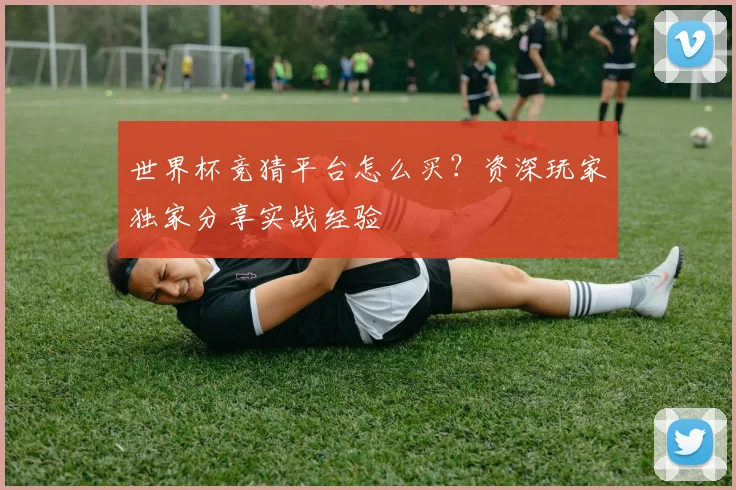 世界杯竞猜平台怎么买？资深玩家独家分享实战经验