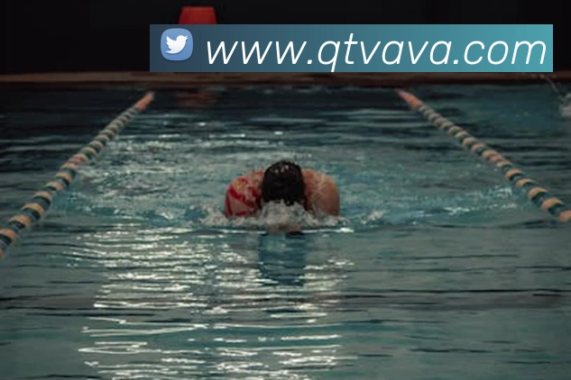 米兰在线体育官网平台生态图